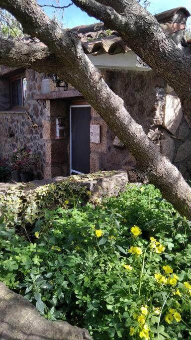 Rural House To Take A Break, La Serreria 25 - Private Garden Tacoronte Bagian luar foto