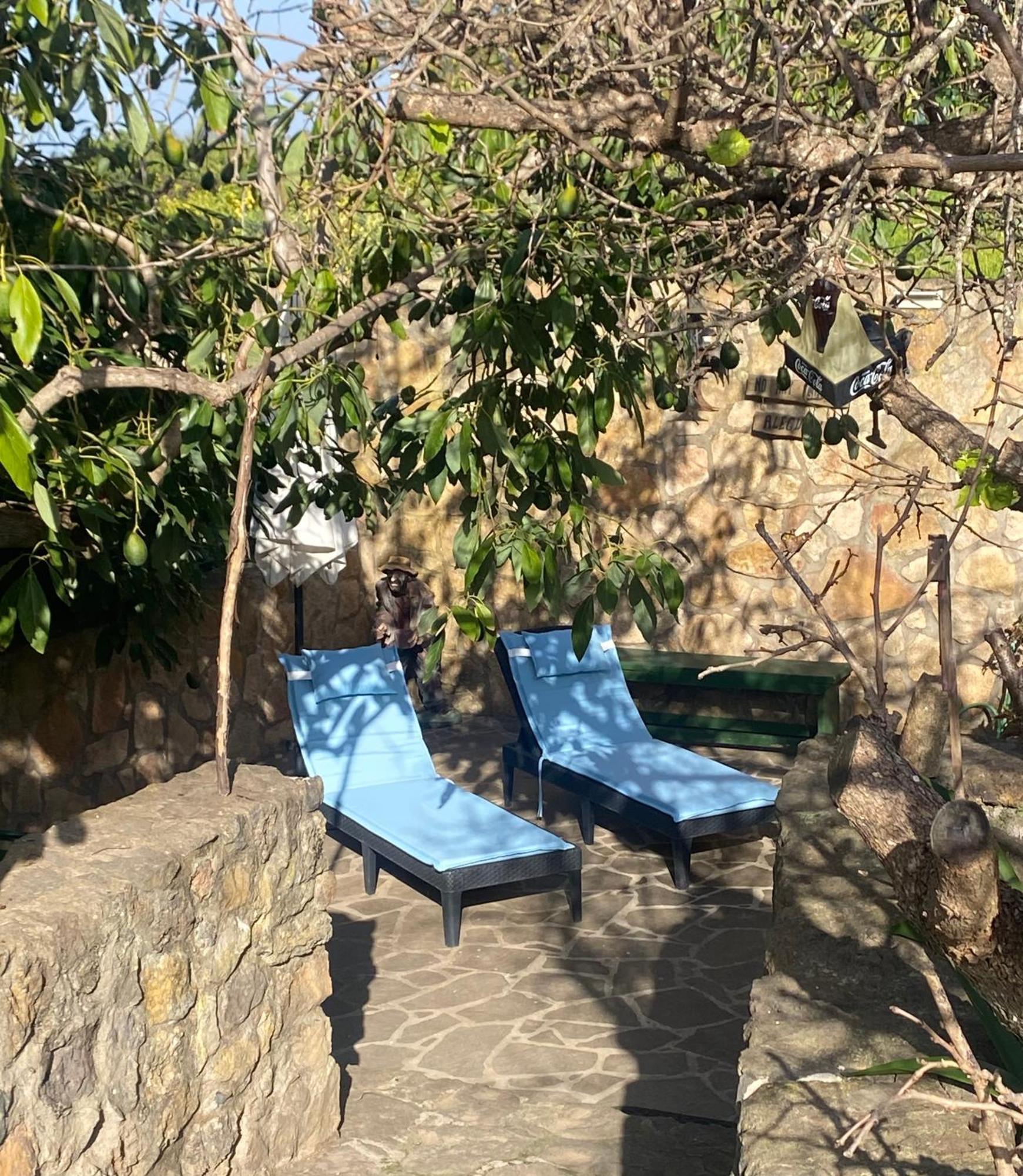 Rural House To Take A Break, La Serreria 25 - Private Garden Tacoronte Bagian luar foto
