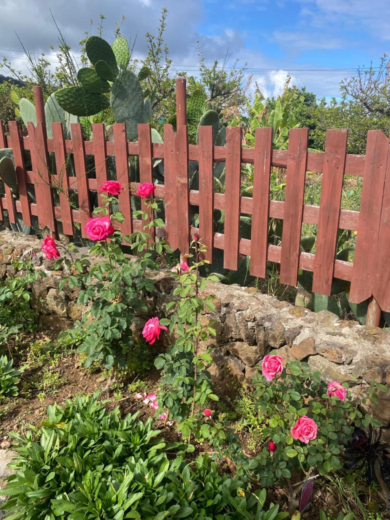 Rural House To Take A Break, La Serreria 25 - Private Garden Tacoronte Bagian luar foto