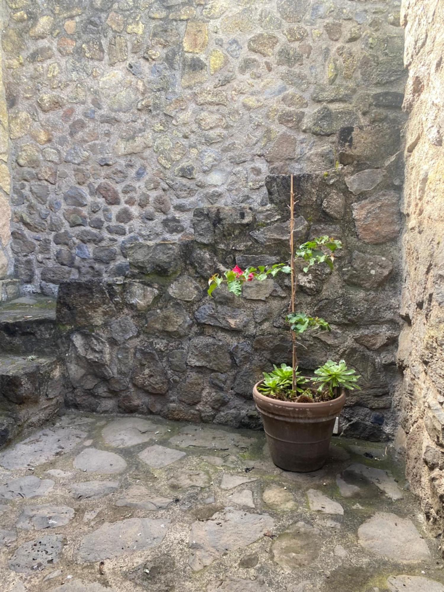 Rural House To Take A Break, La Serreria 25 - Private Garden Tacoronte Bagian luar foto