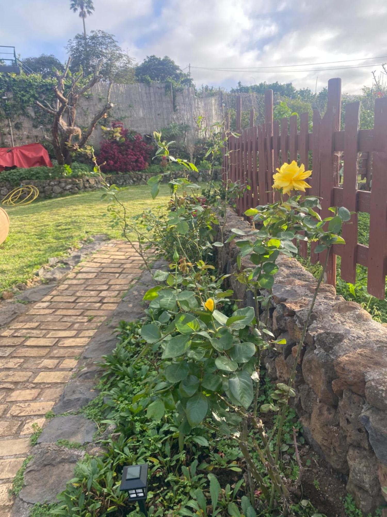 Rural House To Take A Break, La Serreria 25 - Private Garden Tacoronte Bagian luar foto
