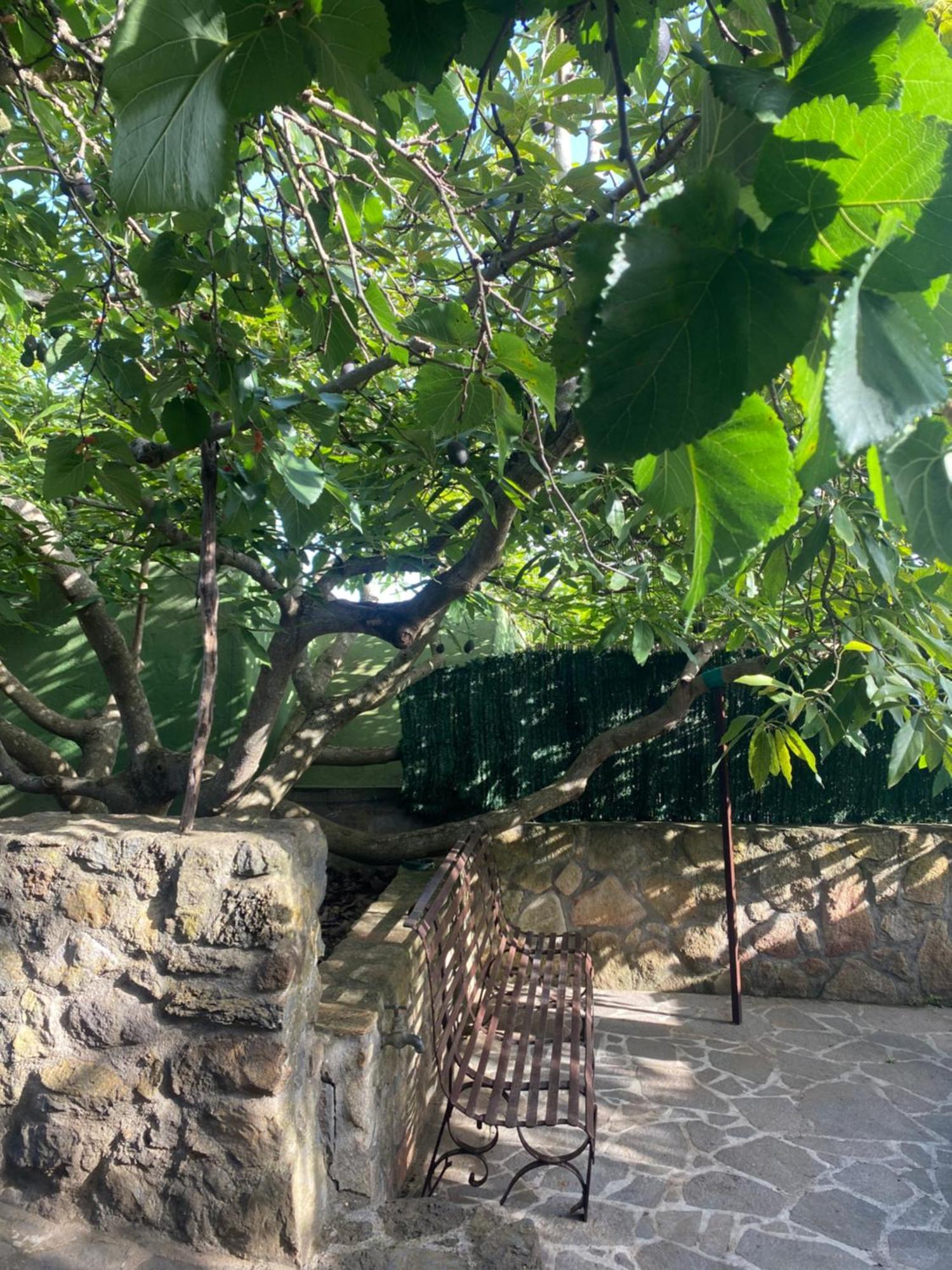 Rural House To Take A Break, La Serreria 25 - Private Garden Tacoronte Bagian luar foto